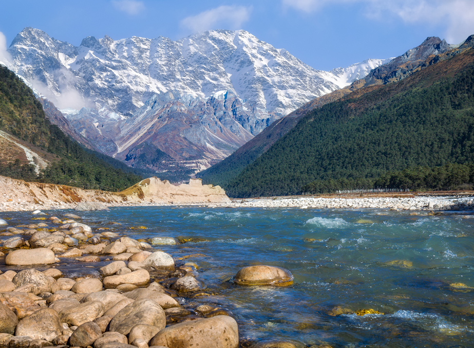 Himalayan Bliss - Premium